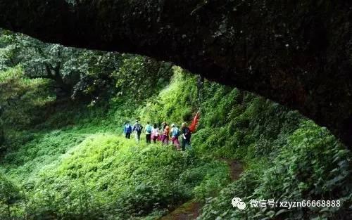 福州御和堂:癌细胞偏爱的10个字,你占了几个?